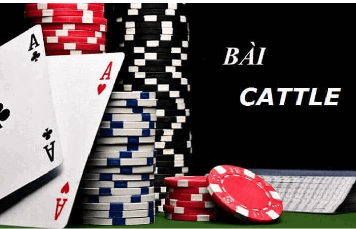 Hướng Dẫn Chơi Bài Catte Tại K8CC – Chiến Thuật Hiệu Quả 3 Hướng Dẫn Chơi Bài Catte Tại K8CC – Chiến Thuật Hiệu Quả