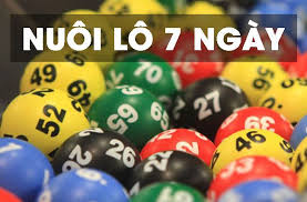 Chiến Thuật Nuôi Khung Lô 7 Ngày Hiệu Quả Tại K8CC 2 Chiến Thuật Nuôi Khung Lô 7 Ngày Hiệu Quả Tại K8CC