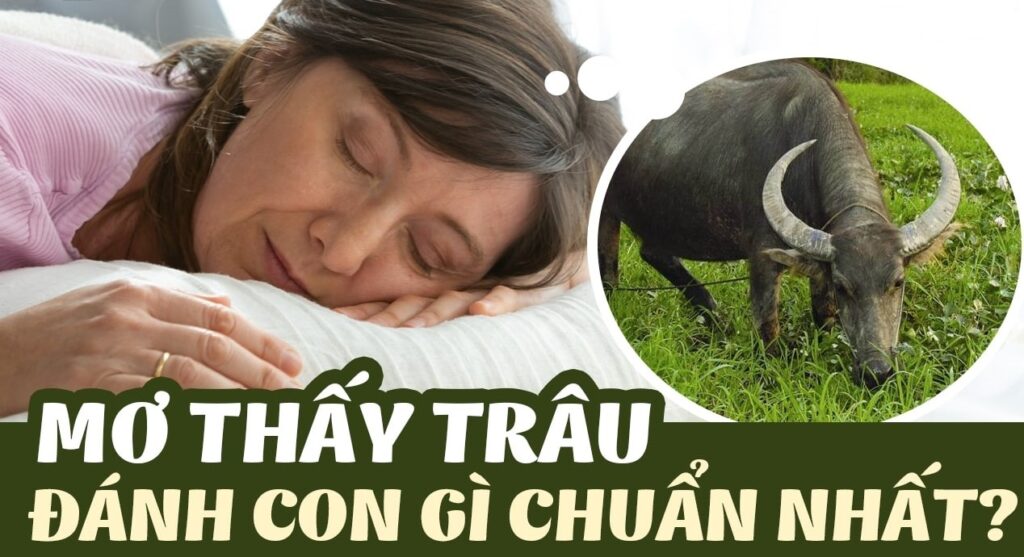 Giải mã giấc mơ thấy trâu và con số may mắn tại K8CC 2 Giải mã giấc mơ thấy trâu và con số may mắn tại K8CC