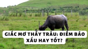 Giải mã giấc mơ thấy trâu và con số may mắn tại K8CC 4 Giải mã giấc mơ thấy trâu và con số may mắn tại K8CC