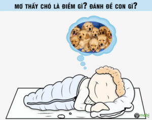 Mơ Thấy Chó Đánh Con Gì Để Trúng Lớn? Cùng K8CC Giải Mã 